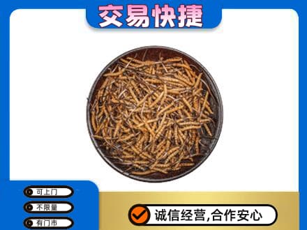 平顶山市鲁山高价回收散虫草
